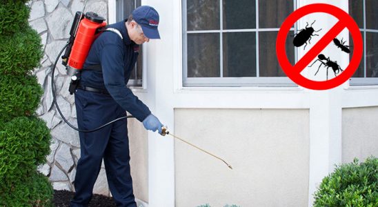 Yeşilyurt Dezenfeksiyon böcek ilaçlama ve haşere kontrolü — ilaclama-tr.com